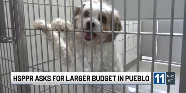 HSPPR in Pueblo asking city and county for increased funding