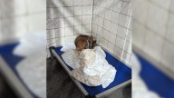 Senior Chihuahua Finds Forever Home After Shocking Diagnosis In Illinois