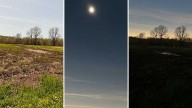 Why birds sang after a total solar eclipse, according to new research