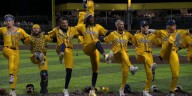 Savannah Bananas swinging into Memorial Stadium next summer