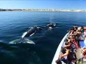 Patagonia Fantástica se promociona en Córdoba
