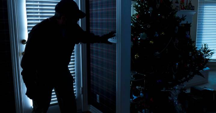 Police urge residents to 'lock themselves in' as winter crime warning issued