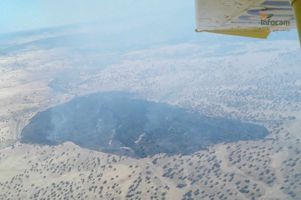 Se declara un incendio forestal en Brazatortas (Ciudad Real): medios aéreos y terrestres combaten las llamas