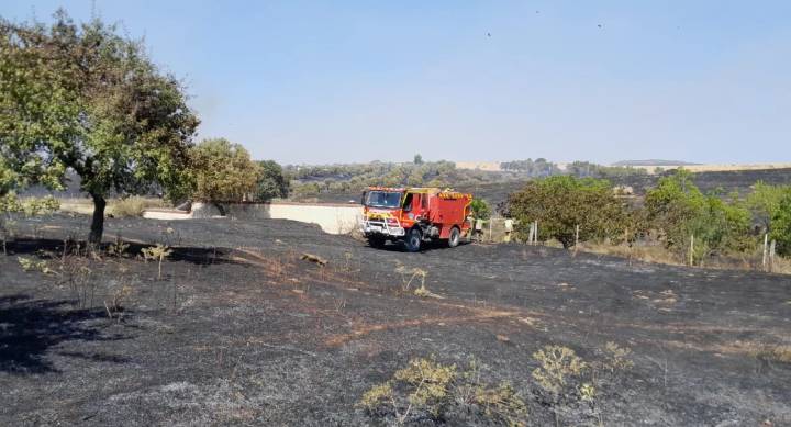 Exigen mejoras "que sirvan de verdad" para los agricultores y ganaderos afectados por los incendios