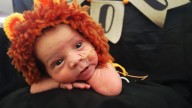 See NICU babies in Halloween costumes from Norton Children's Hospital