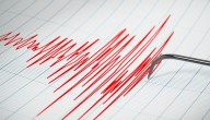 Senapred canceló el Estado de Precaución por tsunami para el territorio antártico decretado tras sismo de magnitud 7.8