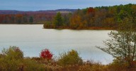 Pack the Preserve to celebrate environmental organization and Montour County nature center