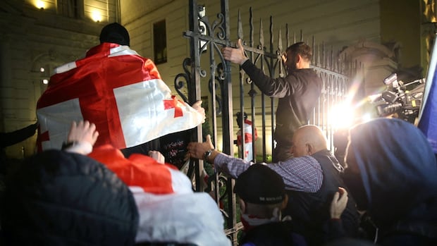 Anti-government protesters in Georgia attempt to storm presidential palace