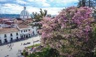Exigen rescate por extranjeros secuestrados en Popayán