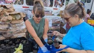 Food bank prepares for SNAP benefit cutoff Nov. 1; how to get help