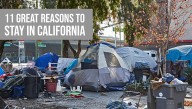 11 Great Reasons To Stay In California