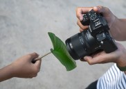 Nikon amplía su línea de lentes DX con dos nuevos objetivos NIKKOR