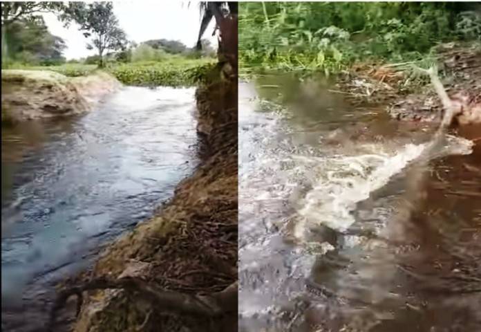 El río Orinoco ya rebasa algunas zonas del muro de contención de Tucupita
