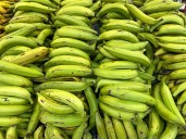 Fumplaven: en Venezuela se consume 180 mil toneladas de plátano al mes