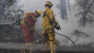 Roberto Schreiner: “El incendio en la Quebrada del Condorito está controlado en un 80%, pero aún queda un foco de difícil acceso”