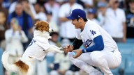 World Series Game 2 Los Angeles Dodgers at Toronto Blue Jays today: TV