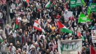 Palestine Action Group pushes ahead with Gaza protest despite ceasefire, shadow attorney