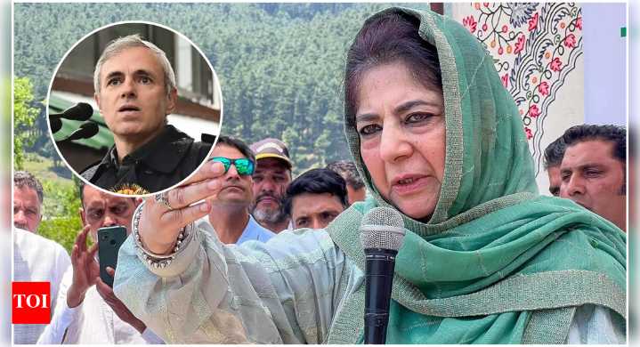 Jammu and Kashmir: Omar government failed to protect land & dignity of people, alleges Mehbooba Mufti; targets over 'no concrete policy'