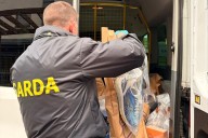 Four men (20s) arrested as gardaí seize weapons, drugs and cash in Dublin raids