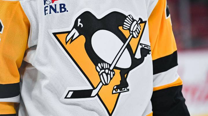 Penguins release statement after fan falls during Blues game