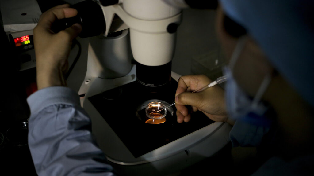 Trump IVF proposal prompts market moves from fertility benefit firms