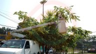 Alumbrado público realiza mantenimiento y rehabilitación de luminarias