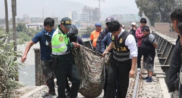 Hallan dos cuerpos maniatados y con signos de violencia en Lurigancho