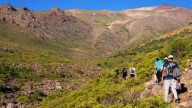Seis senderos imperdibles de trekking en Neuquén para disfrutar la naturaleza al máximo