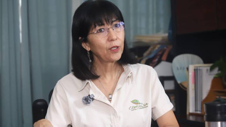Mazatlán avanza en resiliencia climática con Estudio de Vulnerabilidad Socioambiental ante el Cambio Climático: Conselva