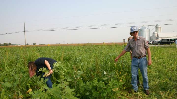 Federal government shutdown severs access to aid for farmers in need