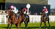 'Haggas sends him out refuelled and raring to go again'