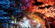 Enchanted forest delights again as Highland autumn event kicks off 2025 season