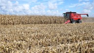 Thompson: Farmers can’t afford another day of government shutdown