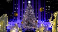 Rockefeller Center reveals this year's Christmas Tree selection