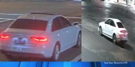 Police seek suspect in deadly hit
