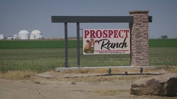 Hydrogen sulfide gas killed 6 people at Weld County dairy operation: coroner