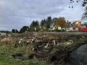 Restaurant owners who felled 80 trees for car park admit mistakes