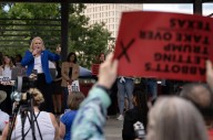 This newly drawn Houston district could unearth tensions between Democrats of color