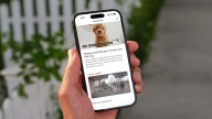 Ring's new Search Party feature can help you find your lost dog
