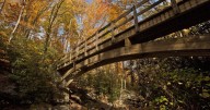 Autumn leaves are popping up. When is peak season for fall foliage in North Carolina?