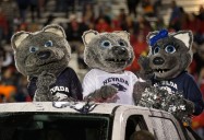 Where to watch Fresno State Bulldogs vs Nevada Wolfpack college football streaming live on demand for free without cable today; Kickoff time, TV channel, spread, odds