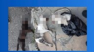 ¡Emergencia en Lara! Descubren envenenamiento masivo de animales que alarma a la comunidad.