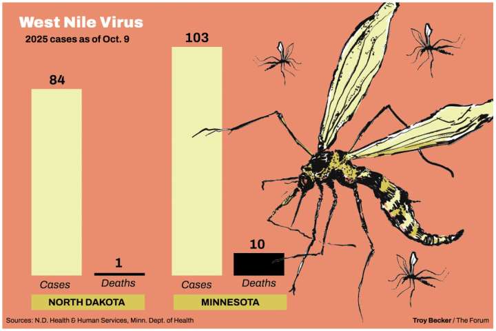 West Nile virus at 'outbreak' level in Minnesota, above average in North Dakota