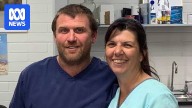 Angle Park Vet Clinic owners 'strongly dispute' claims of substandard care