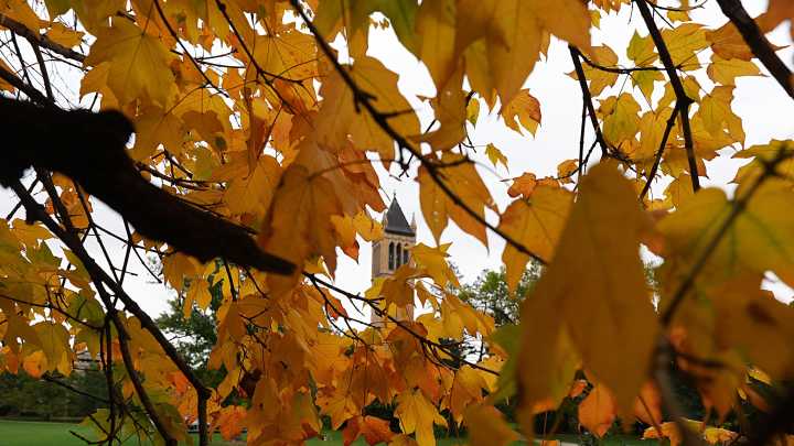 Where is fall foliage peaking in late October? See US map