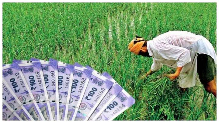 Nashik Collector Bars Banks From Deducting Farmers' Rain Relief For Loan Recovery