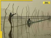 What is Sir Creek? Rajnath Singh's BIG warning, disputed region between India an