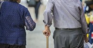 Global life expectancy rebounds to pre
