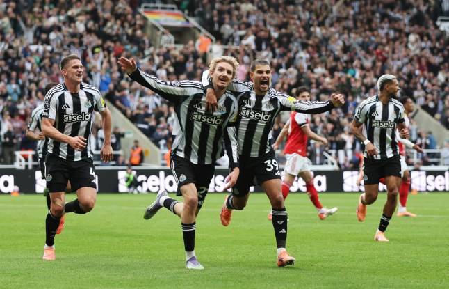 Nick Woltemade can continue his hot streak when Newcastle visit Brighton