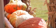 Pumpkin Daze in Republic, Mo., celebrates its 34th year